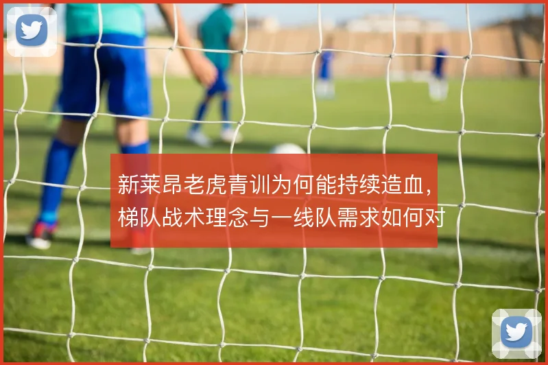 新莱昂老虎青训为何能持续造血，梯队战术理念与一线队需求如何对接