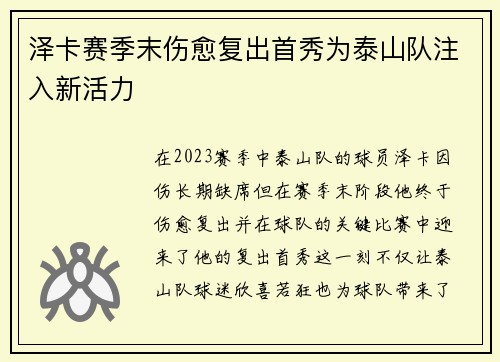 泽卡赛季末伤愈复出首秀为泰山队注入新活力